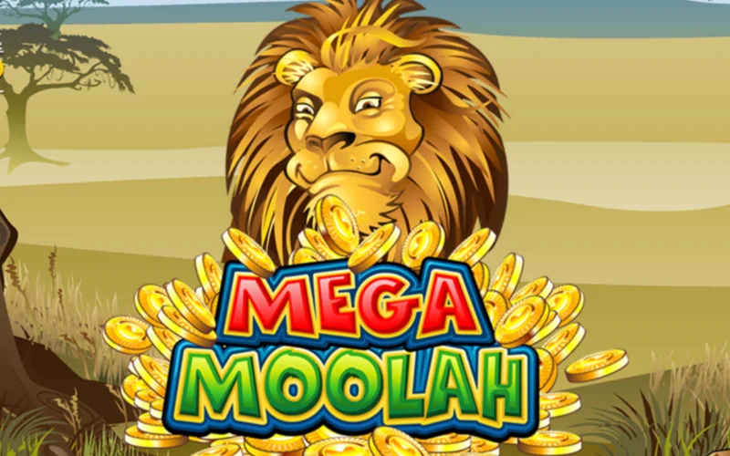 Zagraj w Mega Moolah w 1w, wejdź do afrykańskiej dżungli i walcz o rekordowe jackpoty.