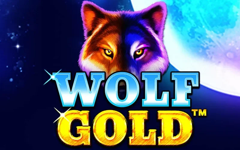 Zagraj w Wolf Gold w 1w, poczuj klimat prerii i poluj na wielkie wygrane z wilkami.